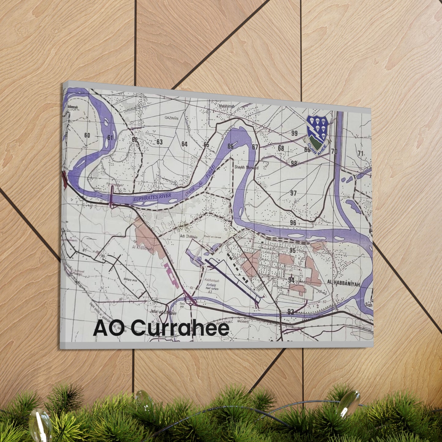 AO Currahee Canvas Gallery Wraps